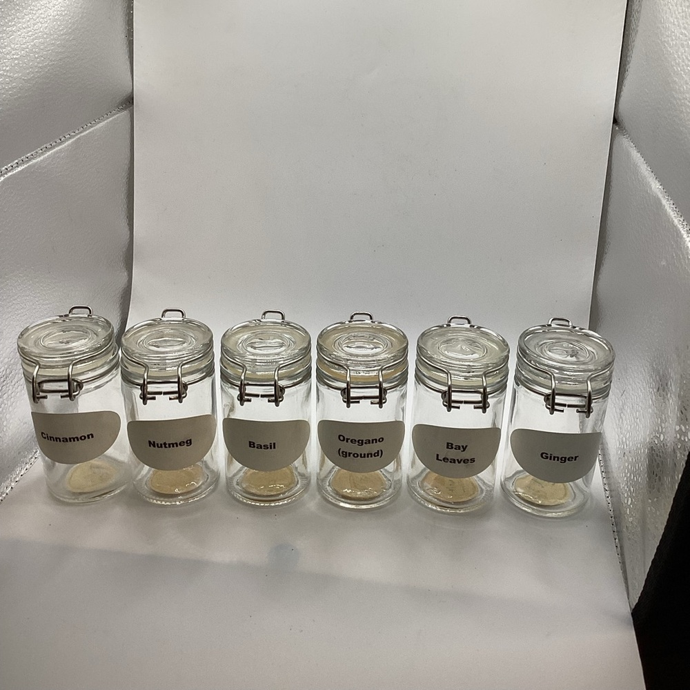 Unk Clear Glass Spice Jars with Clip Lids - Set of 6